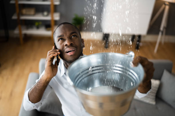 Best Mold removal after water damage  in North Enid, OK