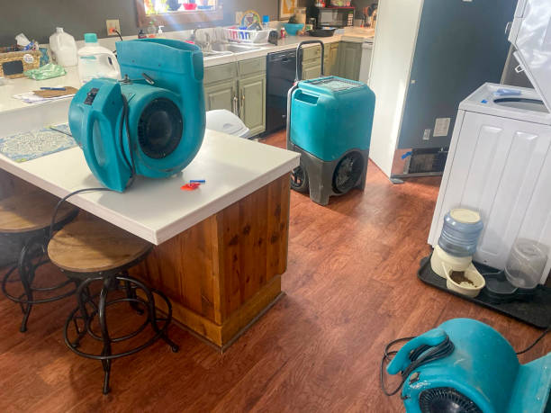 Best Local water damage restoration  in North Enid, OK